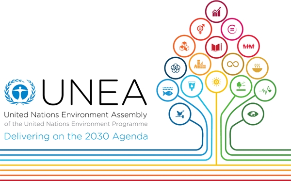Sustainable management of chemicals and waste at UNEA-2